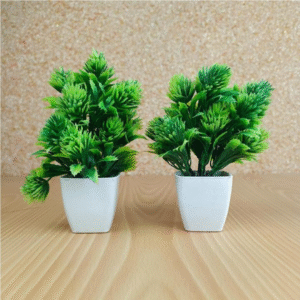 Decoration